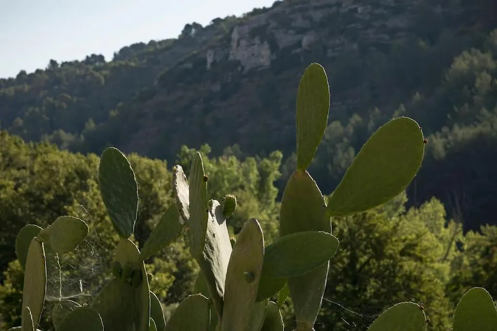 Villa La Rocca Ragusa